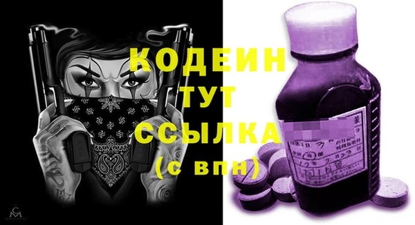 тгк Гусев