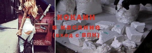 тгк Гусев
