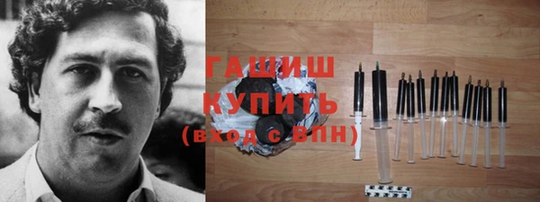 тгк Гусев