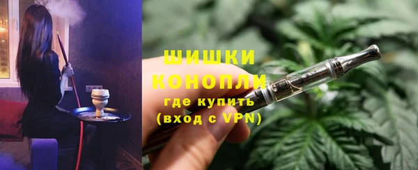 тгк Гусев