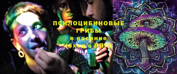 сатива Гусиноозёрск