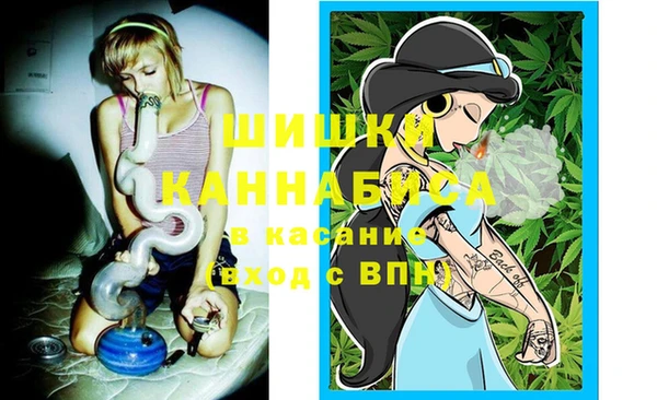 сатива Гусиноозёрск