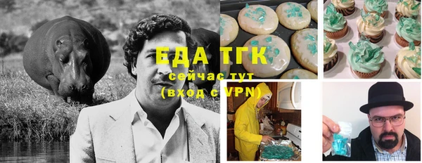 тгк Гусев