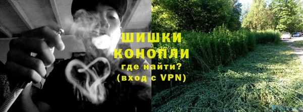 сатива Гусиноозёрск