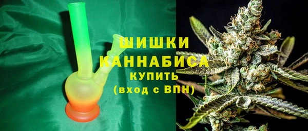 тгк Гусев