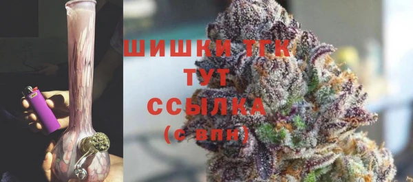 тгк Гусев