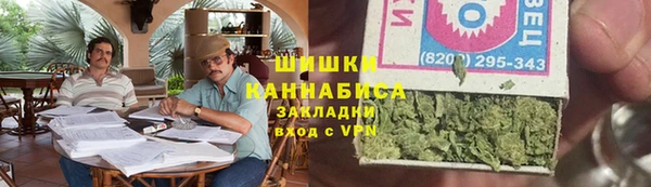 сатива Гусиноозёрск